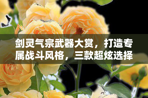 剑灵气宗武器大赏,打造专属战斗风格,三款超炫选择等你来挑! 剑灵气宗武器大赏,打造专属战斗风格,三款超炫选择等你来挑!