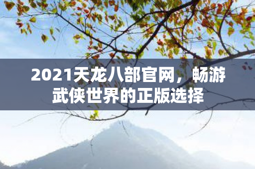 畅游武侠世界的正版选择图片