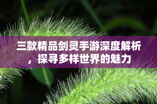 三款精品剑灵手游深度解析,探寻多样世界的魅力 三款精品剑灵手游深度解析,探寻多样世界的魅力