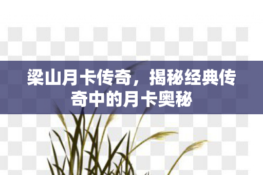揭秘经典传奇中的月卡奥秘图片