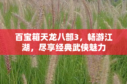 百宝箱天龙八部3图片