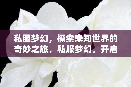 私服梦幻,探索未知世界的奇妙之旅,私服梦幻,开启探索未知世界的奇妙冒险之旅 私服梦幻,探索未知世界的奇妙之旅,私服梦幻,开启探索未知世界的奇妙冒险之旅