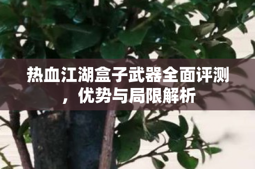 热血江湖盒子武器全面评测图片