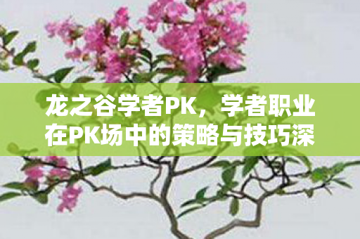 学者职业在PK场中的策略与技巧深度解析图片