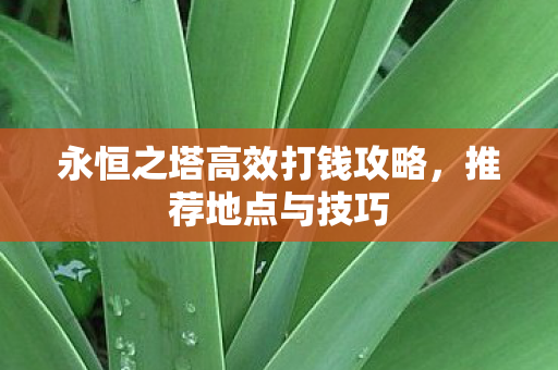 永恒之塔高效打钱攻略图片