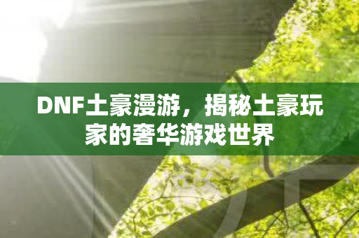 揭秘土豪玩家的奢华游戏世界图片
