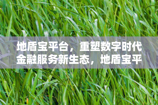 地盾宝平台,重塑数字时代金融服务新生态,地盾宝平台重塑数字金融服务新生态 地盾宝平台,重塑数字时代金融服务新生态,地盾宝平台重塑数字金融服务新生态