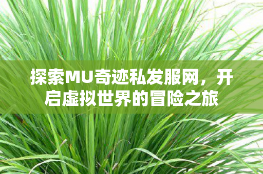 开启虚拟世界的冒险之旅图片