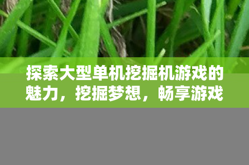探索大型单机挖掘机游戏的魅力图片