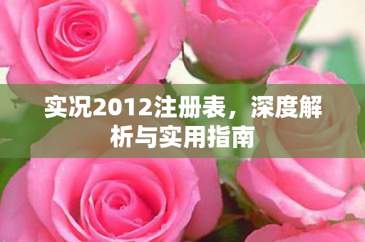 实况2012注册表图片