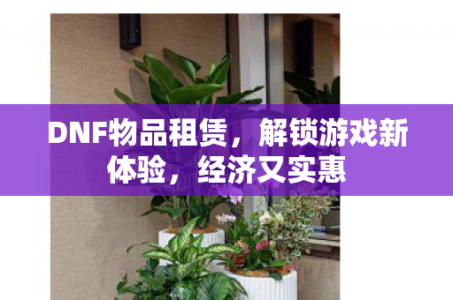 DNF物品租赁图片
