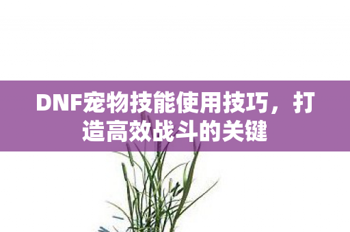 DNF宠物技能使用技巧图片