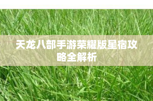 天龙八部手游荣耀版星宿攻略全解析图片
