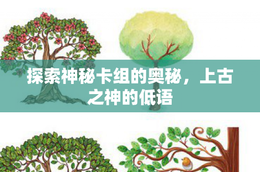 探索神秘卡组的奥秘图片