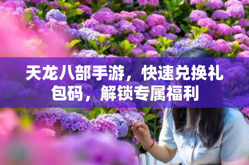 快速兑换礼包码图片