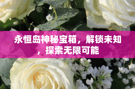 永恒岛神秘宝箱图片