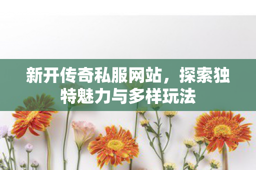 新开传奇私服网站，探索独特魅力与多样玩法