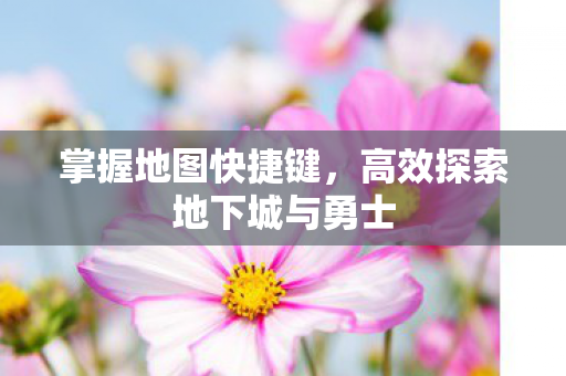 高效探索地下城与勇士图片