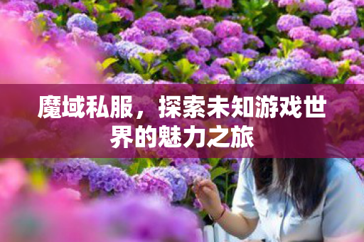 探索未知游戏世界的魅力之旅图片