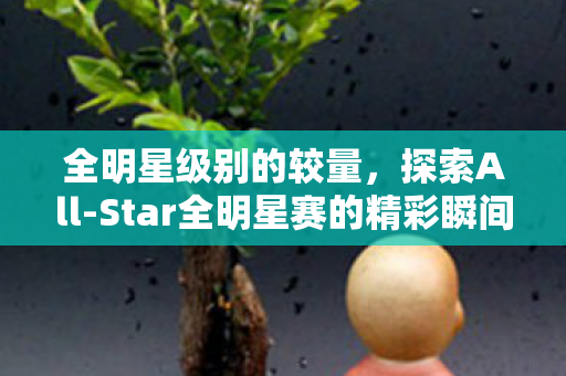 Star全明星赛的精彩瞬间与背后故事图片