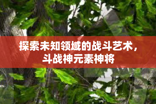 探索未知领域的战斗艺术图片