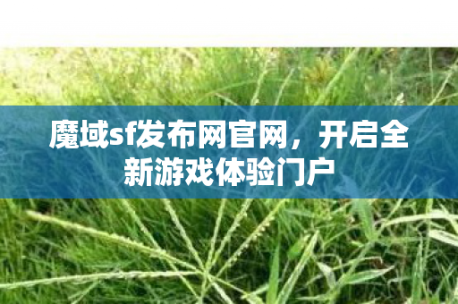 开启全新游戏体验门户图片