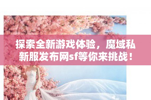 魔域私新服发布网sf等你来挑战图片