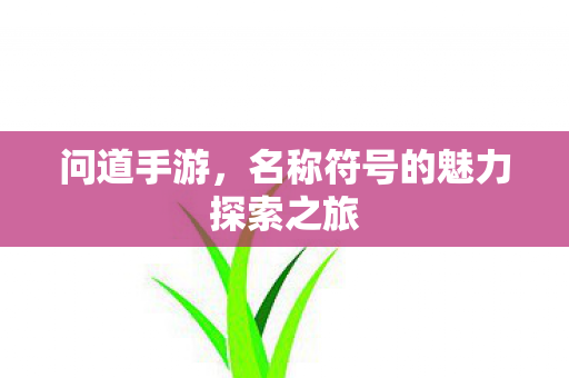 名称符号的魅力探索之旅图片