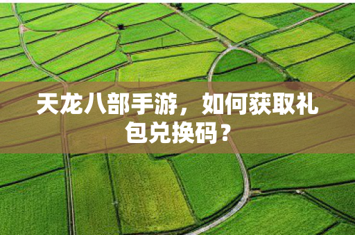 如何获取礼包兑换码图片