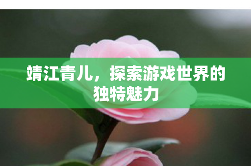探索游戏世界的独特魅力图片