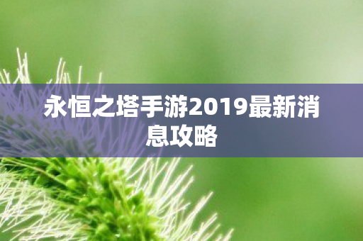 永恒之塔手游2019最新消息攻略图片