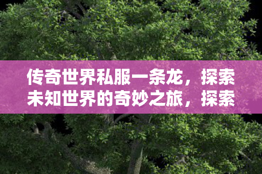 探索未知世界的奇妙之旅图片