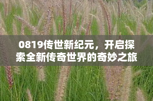 开启探索全新传奇世界的奇妙之旅图片