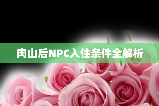 肉山后NPC入住条件全解析图片