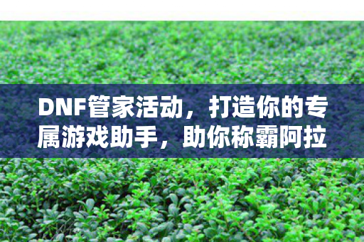 打造你的专属游戏助手图片