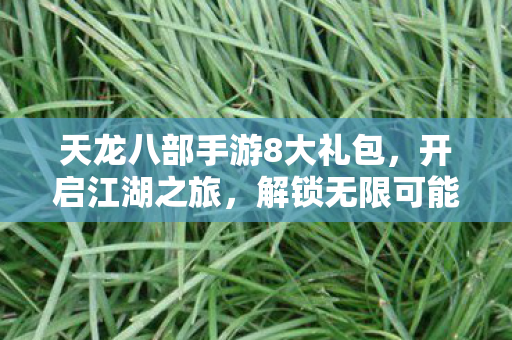 天龙八部手游8大礼包图片