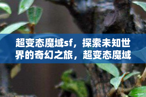 探索未知世界的奇幻之旅图片