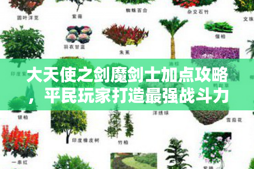 大天使之剑魔剑士加点攻略图片