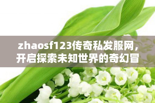 zhaosf123传奇私发服网图片