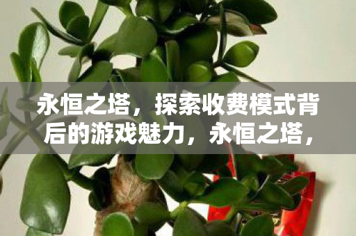 探索收费模式背后的游戏魅力图片