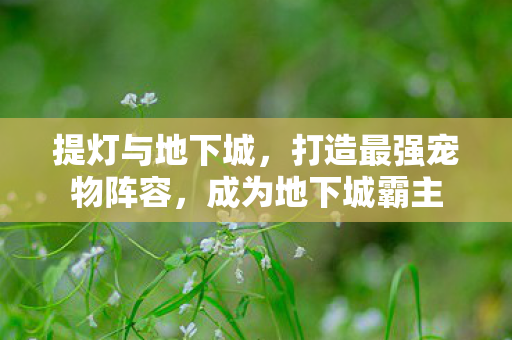 打造最强宠物阵容图片