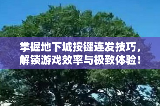 掌握地下城按键连发技巧图片