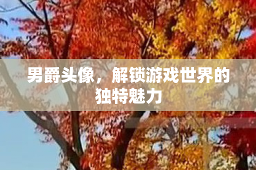 解锁游戏世界的独特魅力图片
