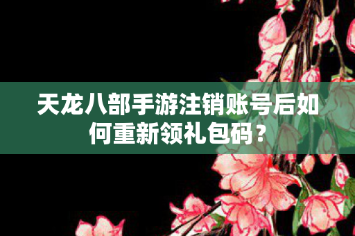 天龙八部手游注销账号后如何重新领礼包码图片