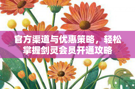 轻松掌握剑灵会员开通攻略图片