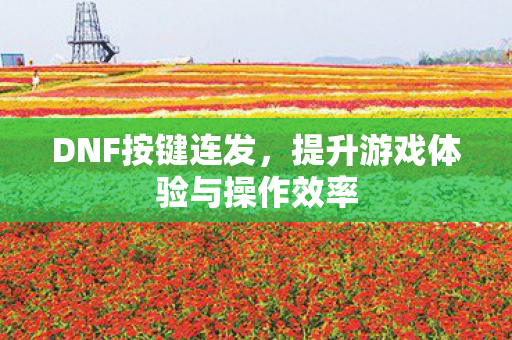 提升游戏体验与操作效率图片