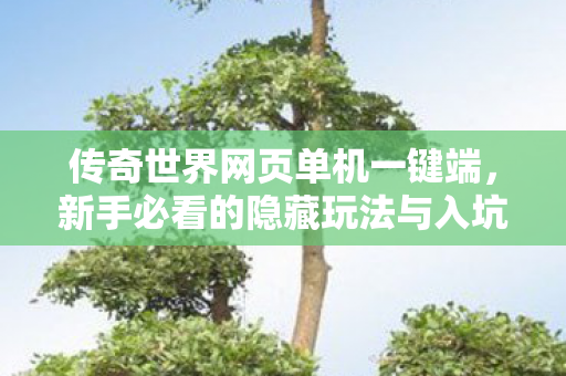 传奇世界网页单机一键端,新手必看的隐藏玩法与入坑指南 传奇世界网页单机一键端,新手必看的隐藏玩法与入坑指南