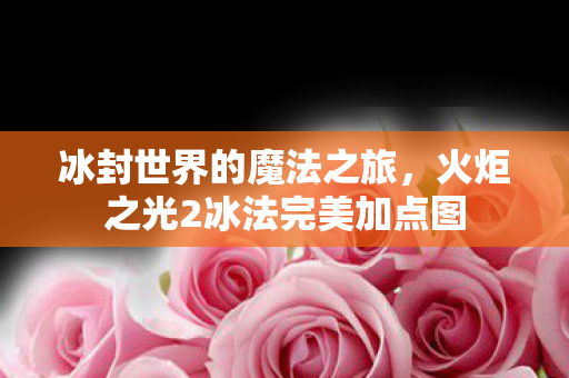 火炬之光2冰法完美加点图图片