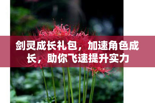助你飞速提升实力图片