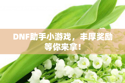 DNF助手小游戏图片